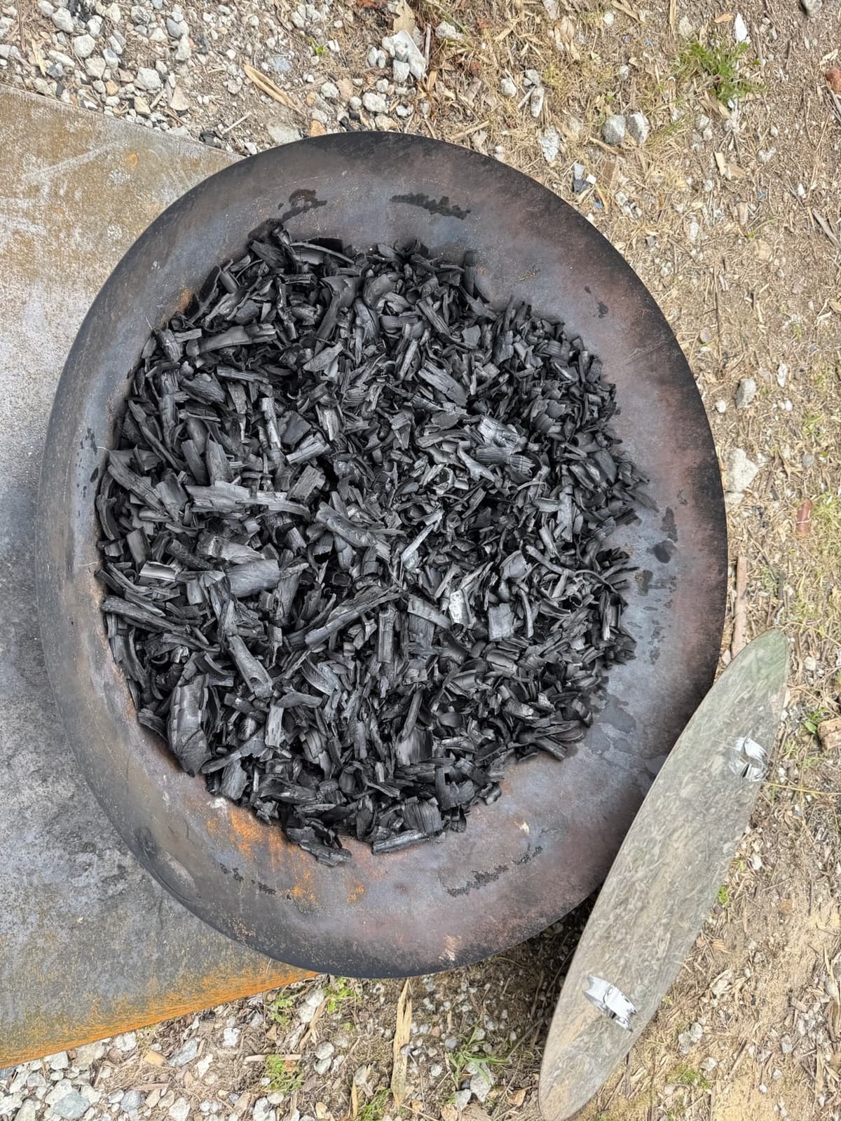 Shii Charcoal — 30cm