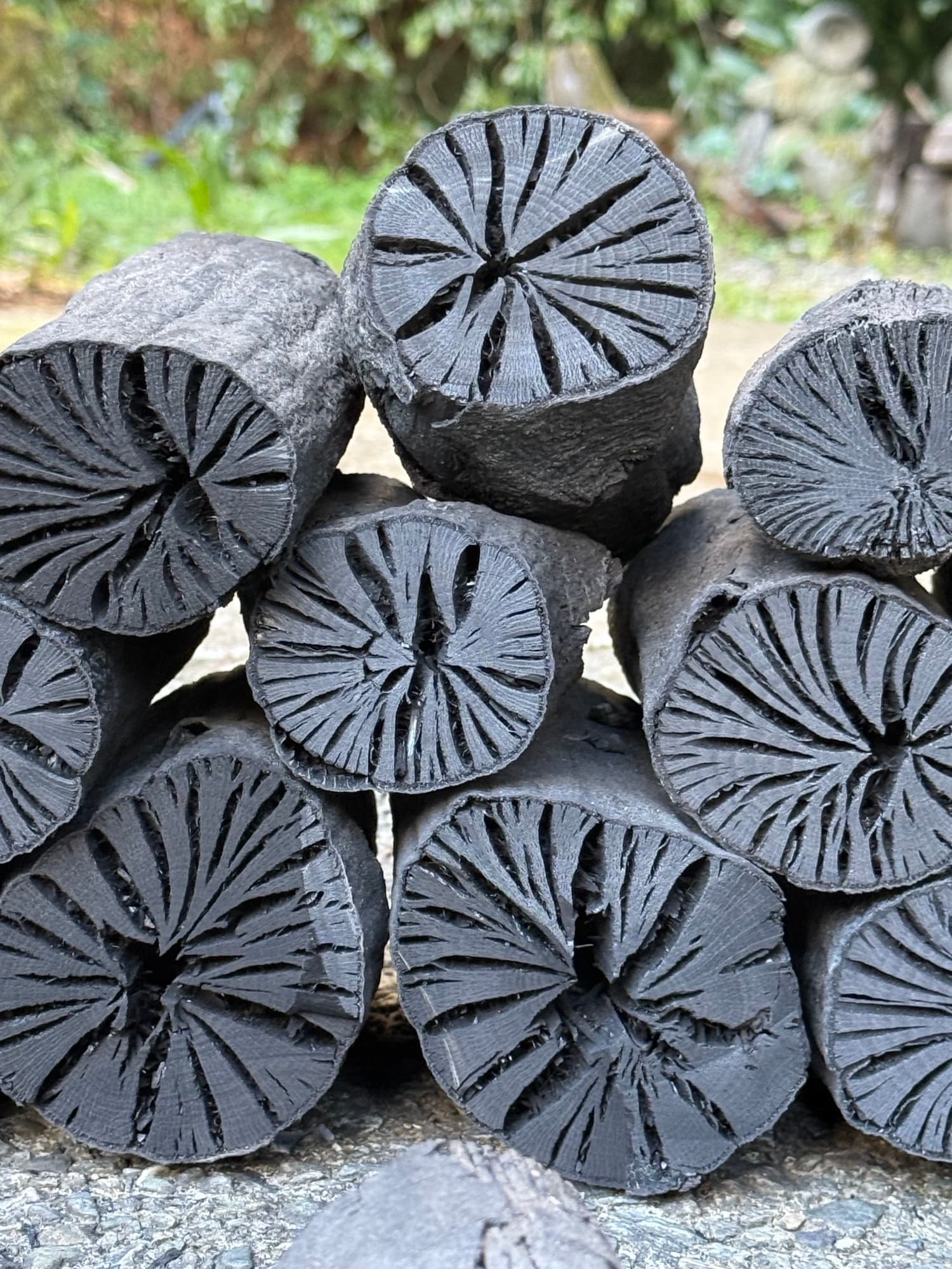 樫BBQ炭(高級)