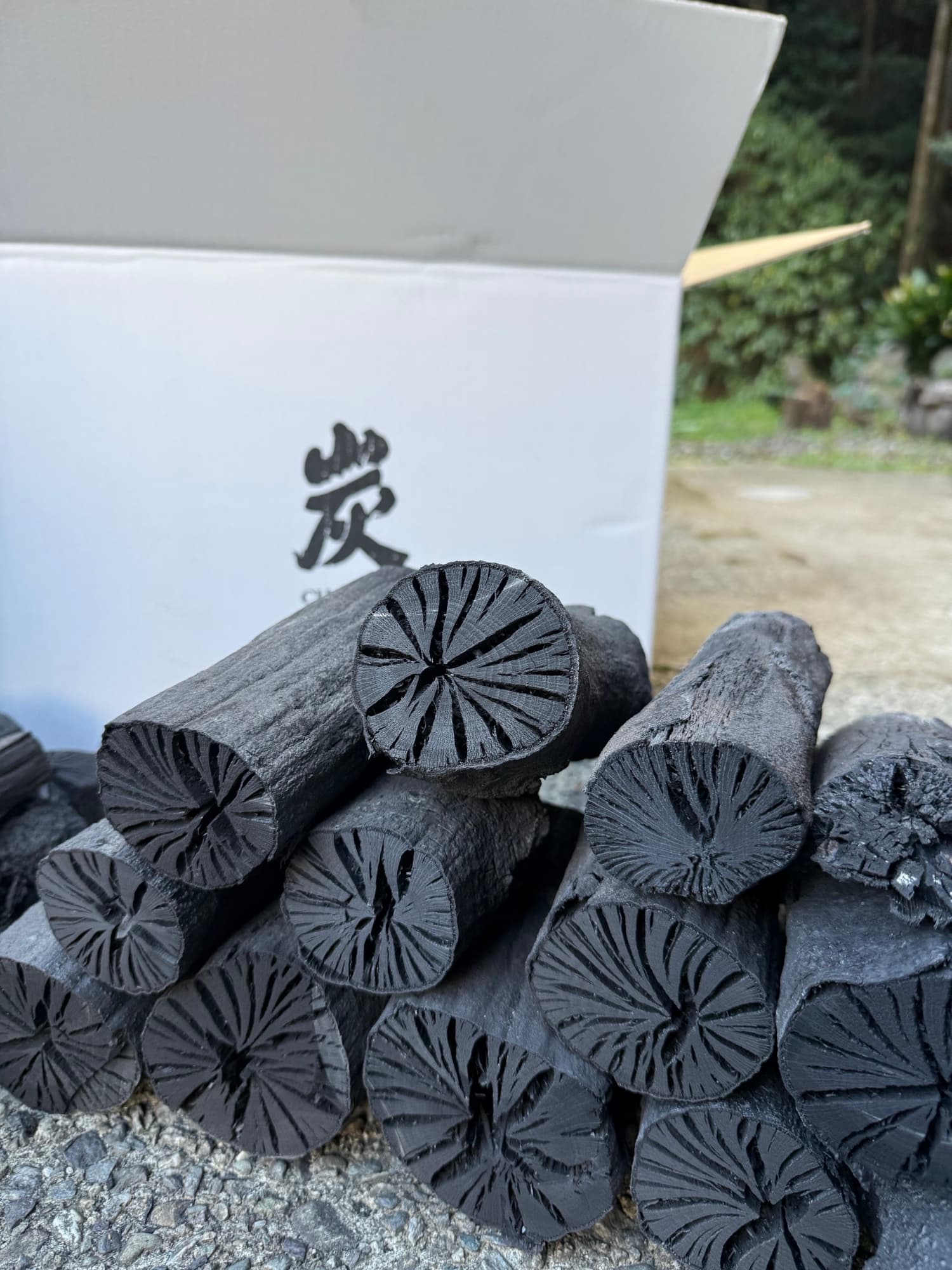 樫炭 小